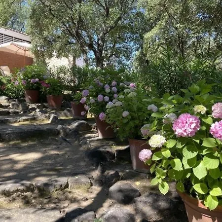 Casa Mar, Vakantiehuis *